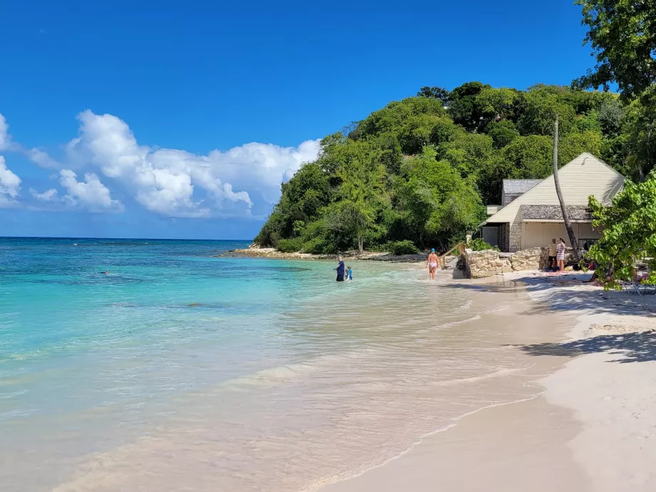 Long Bay, sted for snorkling