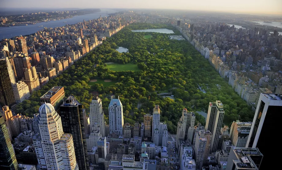 Central Park in New York