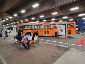 Bus S1