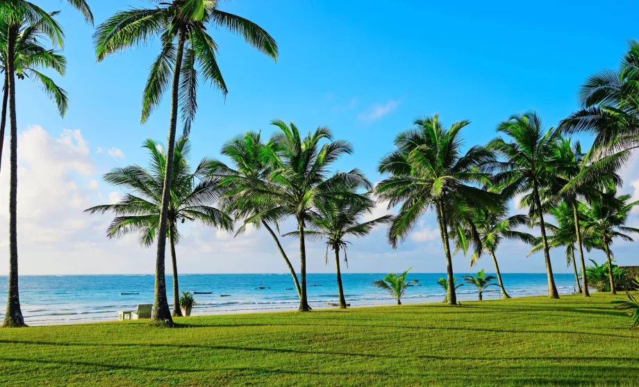 Strand i Mombasa