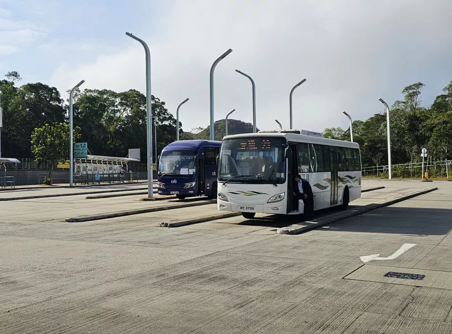 Busser til Ngong Ping