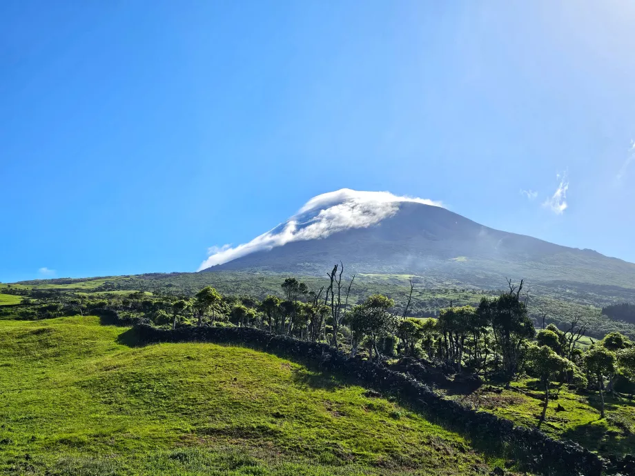 Mount Pico