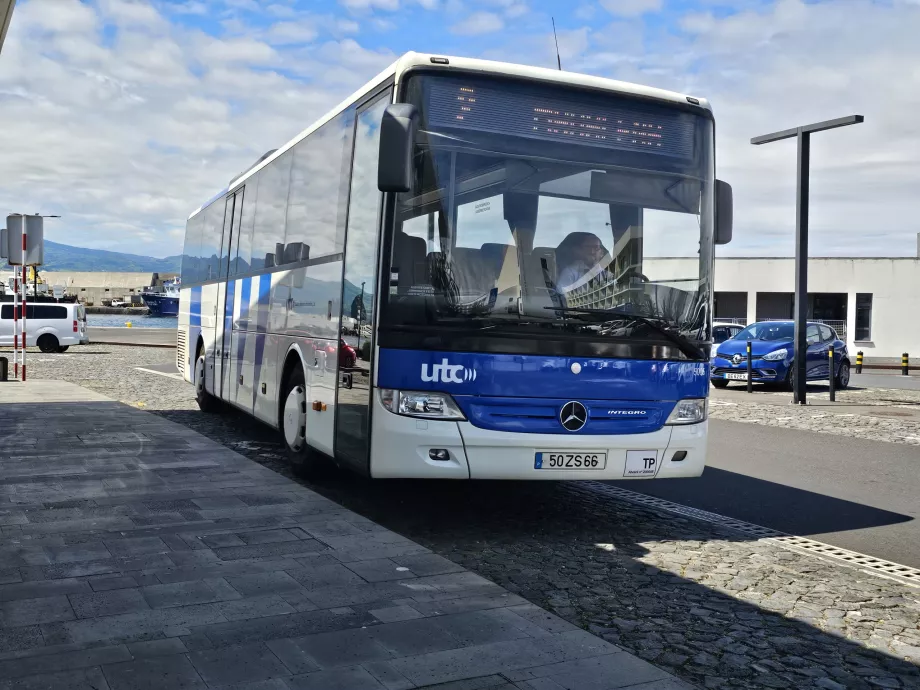 Busser på Pico Island