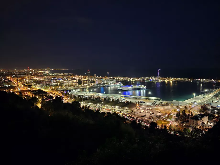 Natudsigt over Barcelona fra Montjuic Park