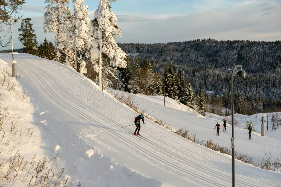 Skiløb i Holmenkollen