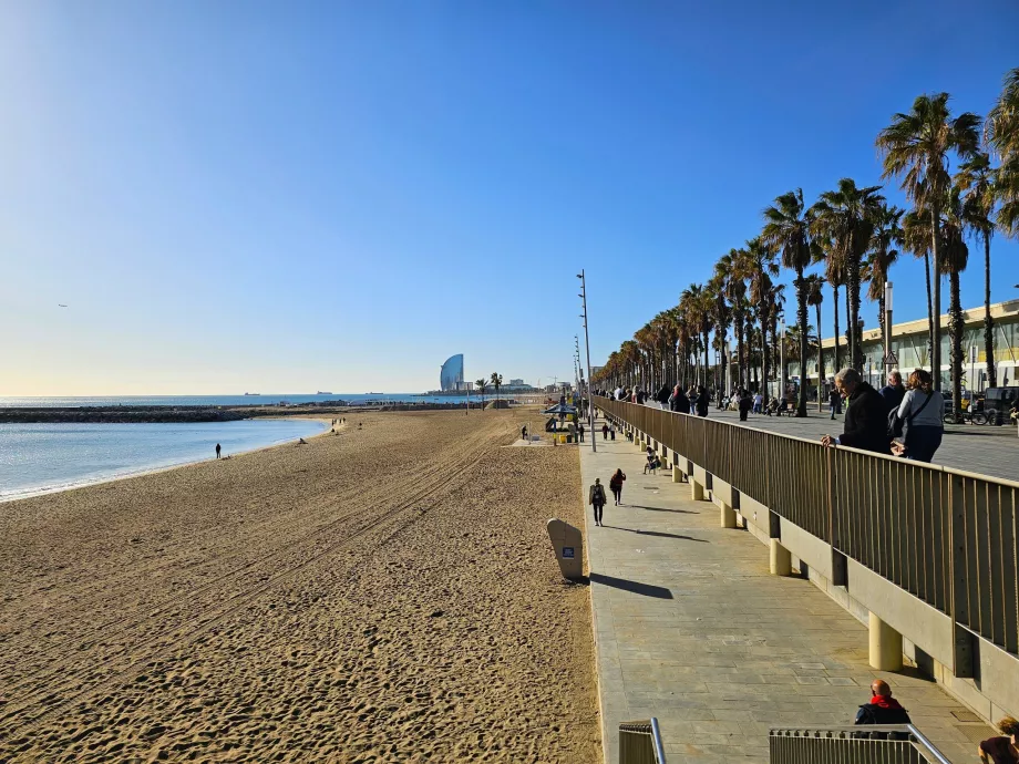 Barceloneta