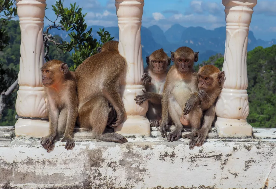 Tigerhule-templet, Krabi, Thailand