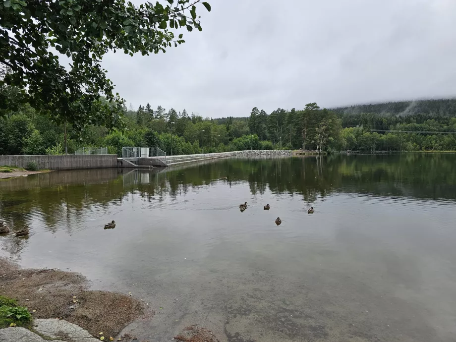 Sognsvann