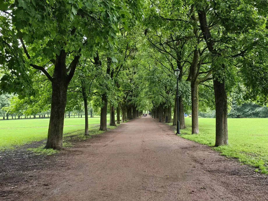 Vigelandsparken