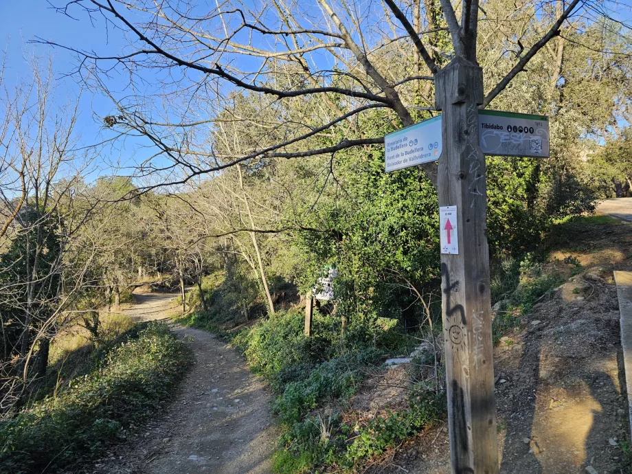 Turisitika i Tibidabo-bjergene