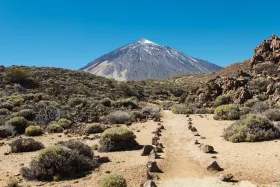 Vejen til Pico del Teide