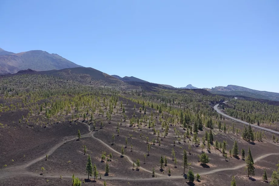 Landskabet i Teide NP