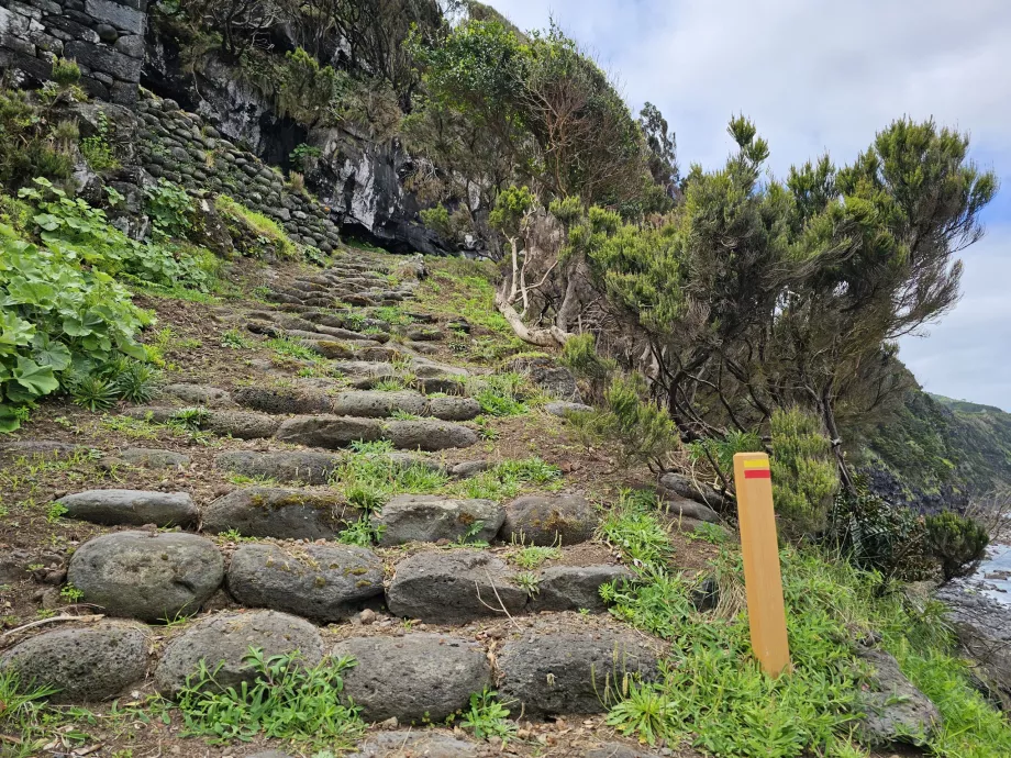 Vandresti på Pico Island