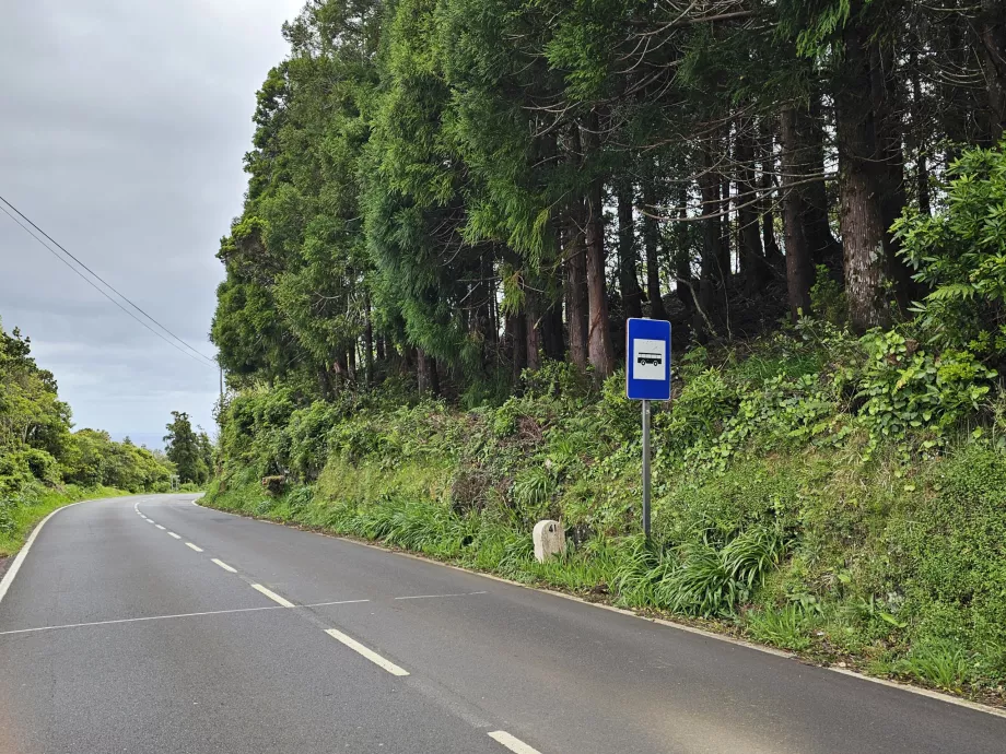 Busstoppested, Pico Island