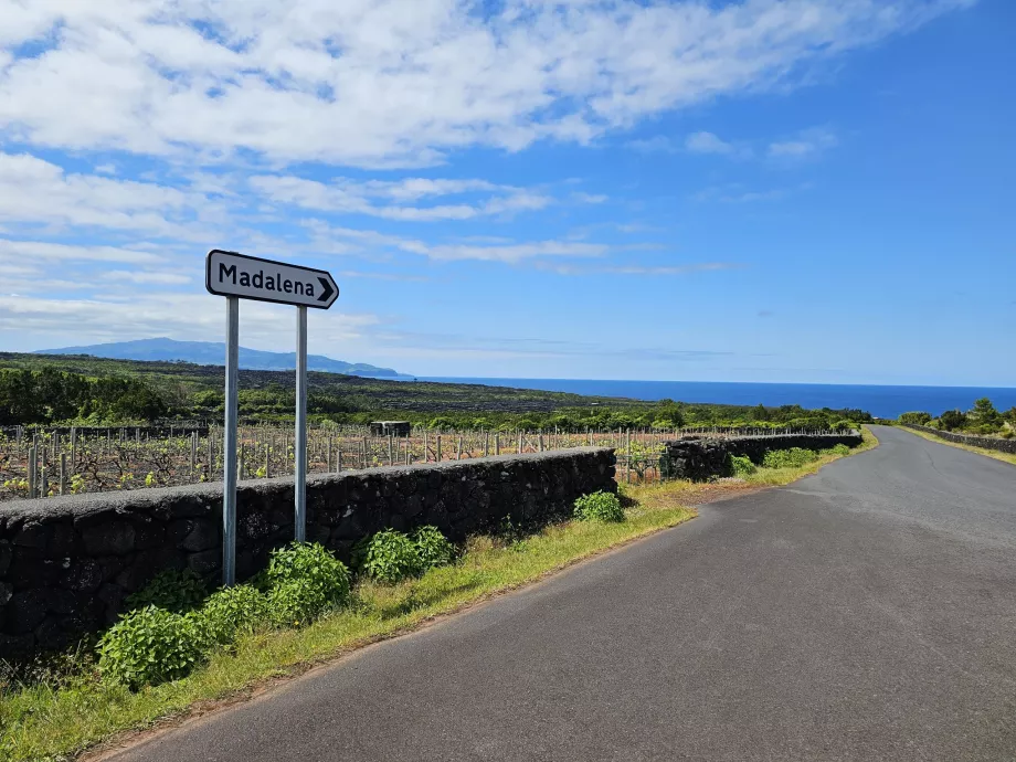 Trafikskilte, Pico Island