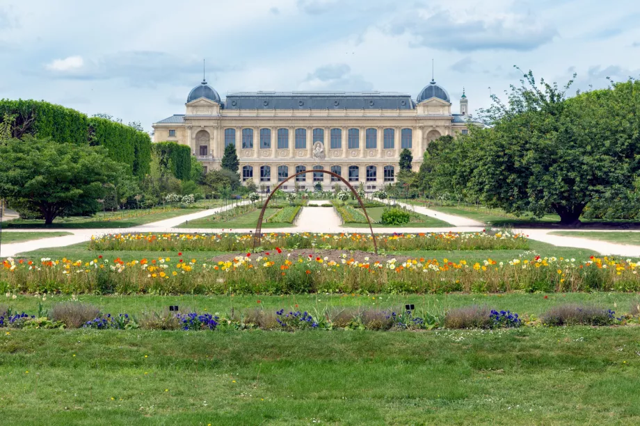 Naturhistorisk museum i Jardin des Plantes