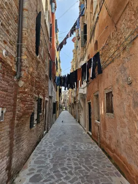 Hænger tøj op i Venedigs gader