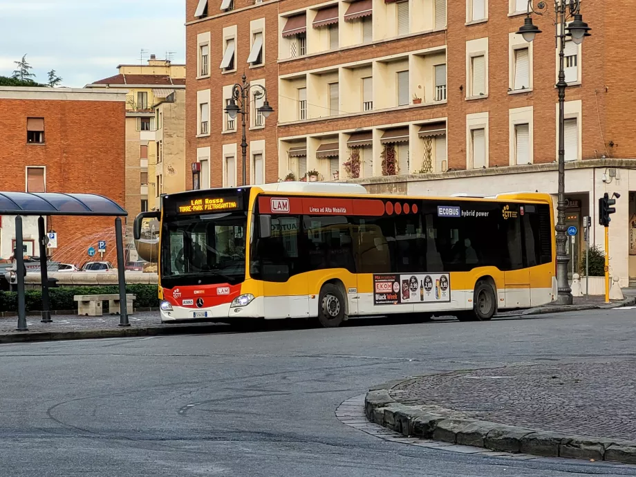 Buslinjer LAM Rossa