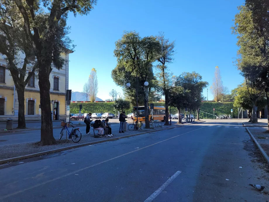 Lucca busstation