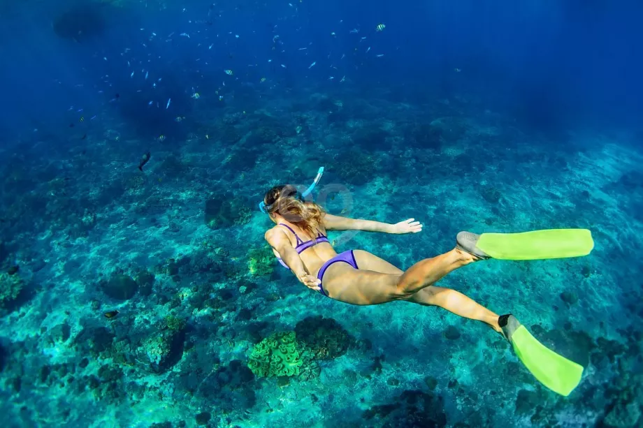 Snorkling på Mallorca