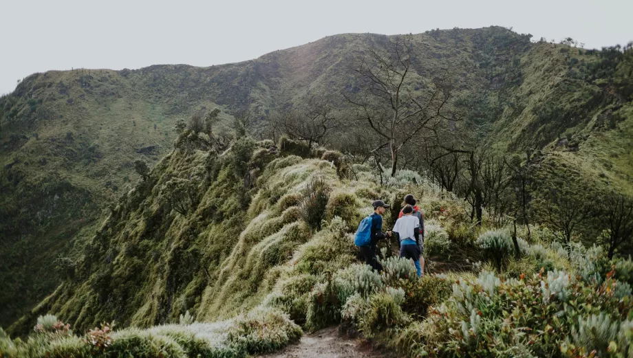 Bestigning af Mount Merbabu