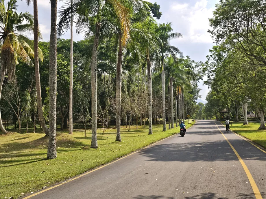 Borobudur-parken