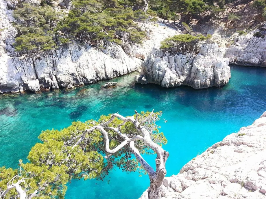 Bugten i Calanques