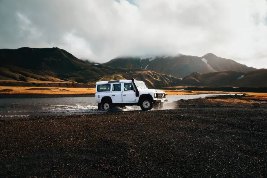 Landmannalaugar skov