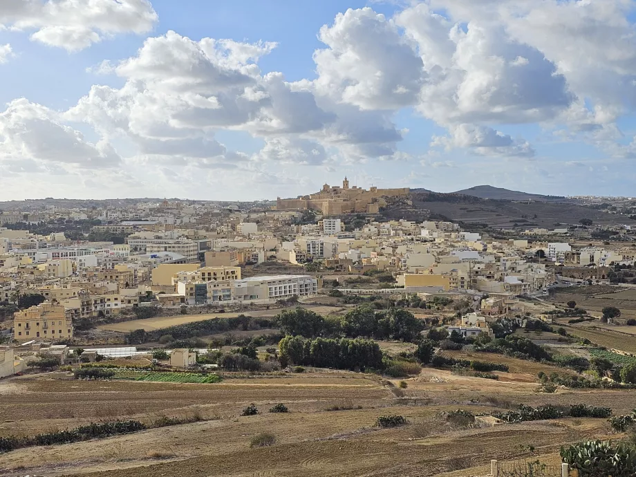 View of Cittadella from the town of Xaghra