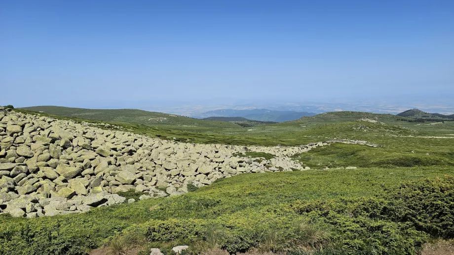 Udsigt i Vitosha-bjergene