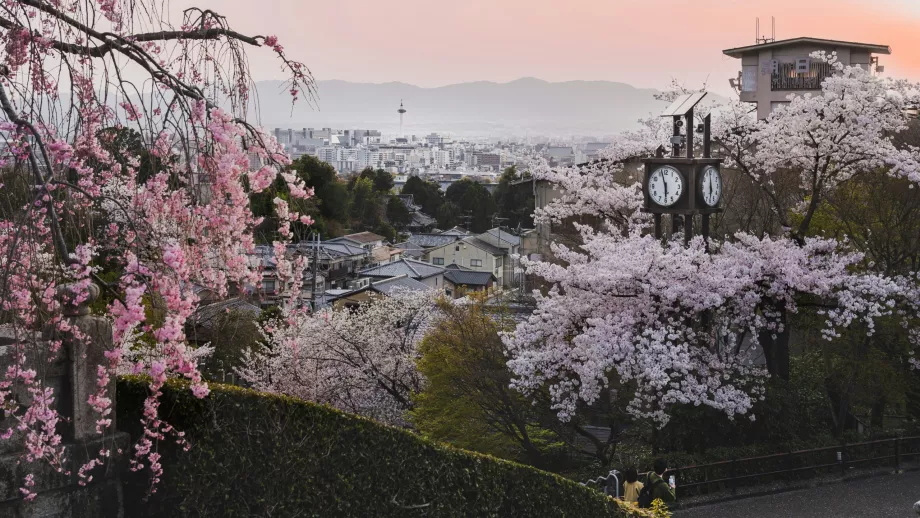 Forår i Kyoto