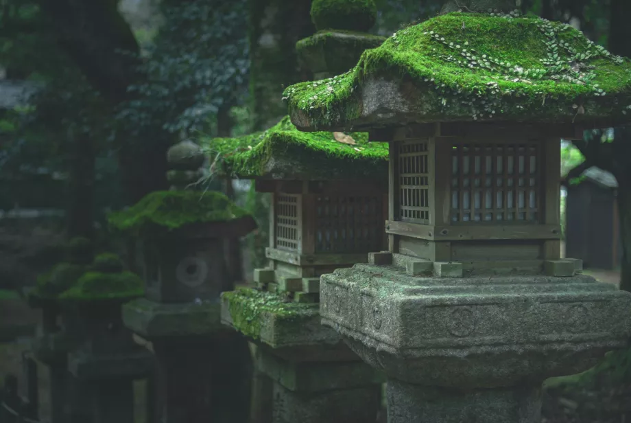 Kasuga Taisha